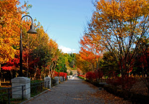茅ヶ崎里山公園